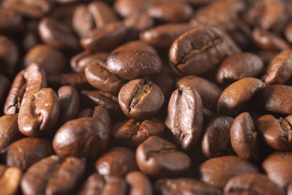 calibrado molinillo espresso