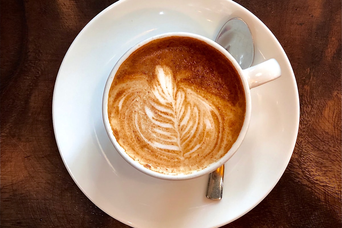 cappuccino casa guia tecnica cafetera