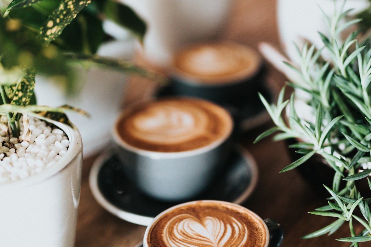 philips 2300 vs 3300 lattego
