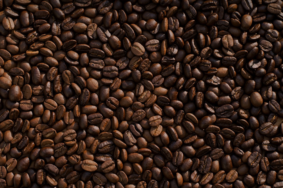 molinillo manual café cuándo tiene sentido